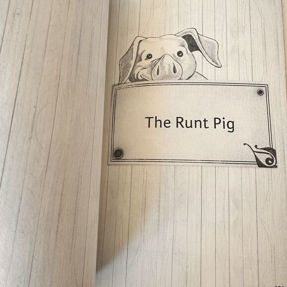 The Runt Pig All About Reading Level 1 Vol. 2 Short Stories Early Readers - Picture 6 of 8